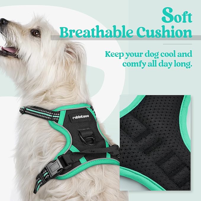rabbitgoo Dog Harness No Pull with 2 Leash Clips, Adjustable Soft Padded, Reflective Oxford No Choke Pet Vest with Easy Control Handle for Puppy, Black & Turquoise, XS-Mewly Pet