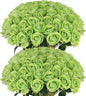 Hananona Artificial Roses in Bulk, Fake Silk Roses Realistic Green Roses for Wedding Centerpieces Flower Arrangement St Patricks Day Home Decor (50, Light Green)