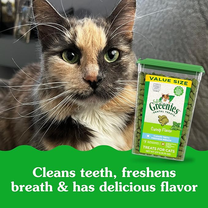 Greenies Feline Adult Dental Cat Treats, Catnip Flavor, 9.75 oz. Tub-Mewly Pet
