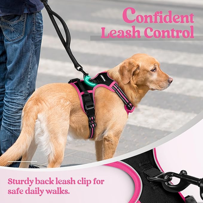 rabbitgoo Dog Harness No Pull with 2 Leash Clips, Adjustable Soft Padded, Reflective Oxford No Choke Pet Vest with Easy Control Handle for Large Dogs, Black & Hot Pink, L-Mewly Pet