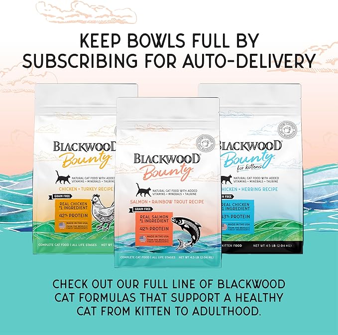 Blackwood Bounty Dry Cat Food, Salmon & Rainbow Trout Recipe for All Life Stages, 4.5 Pound Bag, High Protein, Grain Free-Mewly Pet