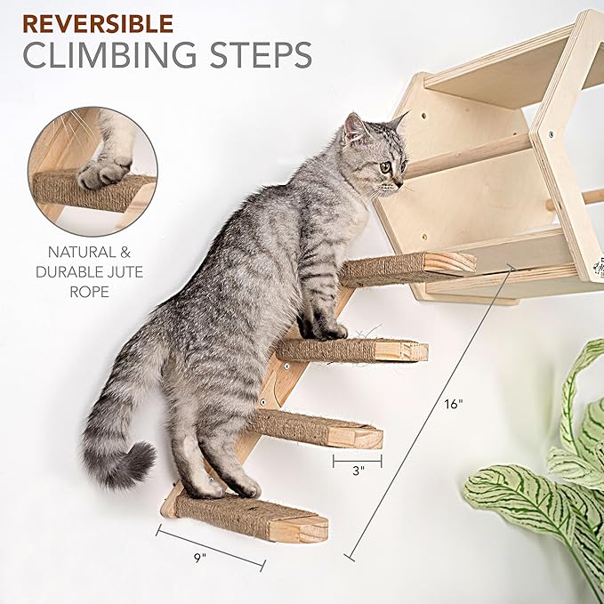 3-Piece Cat Wall Furniture Set - Hammock, Hexagon House, Climbing Steps - Wall Mounted Shelves, Perches, and Beds - Modern Design for Large Cats and Kittens & Spare Hammock Fabric Included-Mewly Pet