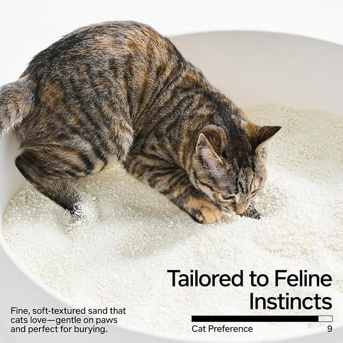 pidan Cassava Cat Litter clumping,Odor Control,Plant-Based Natural Ingredients,Ultra Absorbent and Fast Drying,Low,Dust,Scented (5.3lb×2bags)-Mewly Pet