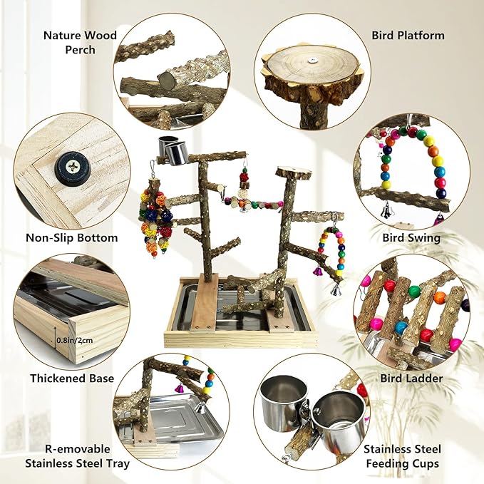 Tfwadmx Bird Playground Natural Wood Bird Play Stands Parrot Perch Stand with Removable Tray Climb Ladders Swing Chewing Toys for Lovebirds Cockatiels Budgies-Mewly Pet