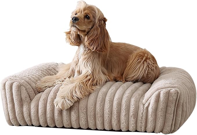 Arlee Saddle Sofa Memory Foam Pet Bed, Comfortable & Washable, Ideal for Dogs and Puppies, Extra Comfort, Couch Design, Crate & Kennel Furniture, Pet Supplies & Essentials, Tan, Medium-Mewly Pet