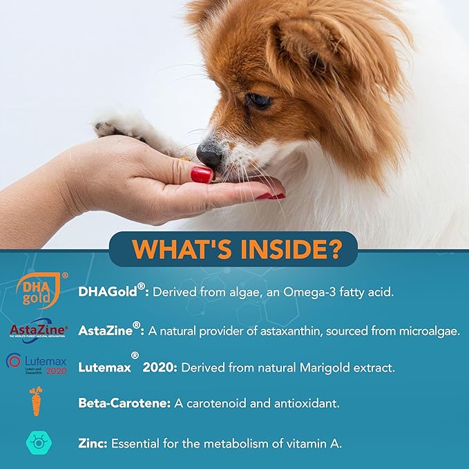 NOVEHA Eye Supplement for Dogs (90 Chews)- Vision Support with Lutein + Vitamin C & Astaxanthin Antioxidants - Dog Vitamins for Eyes + Fish Oil for Omega 3 EPA - Made in USA-Mewly Pet