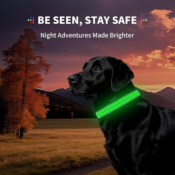LED Dog Collar with Metal Buckle - USB Rechargeable Glow Collar for Dogs, Waterproof Light Up Dog Collar w/Reflective Strips - Adjustable Night Safety Collars by PetIsay(Green,Large)-Mewly Pet