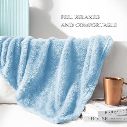 Exclusivo Mezcla Plush Fuzzy Fleece Bed Blanket Queen Size, Super Soft, Fluffy and Warm Blankets，Suitable for All Seasons (Light Blue, 90x90 Inches)