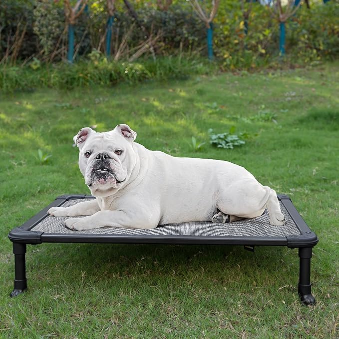 Veehoo Chew Proof Elevated Dog Bed - Cooling Raised Pet Cot - Rustless Aluminum Frame and Durable Textilene Mesh, Unique Designed No-Slip Feet for Indoor or Outdoor Use, Black Silver, Medium-Mewly Pet