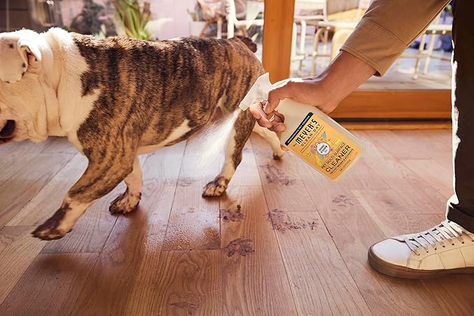 Mrs. MEYER'S CLEAN DAY Pet Multi-Surface Cleaner, Orange Blossom Scent, 16oz-Mewly Pet