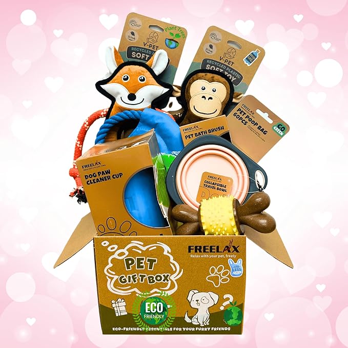 Durable Dog Chew Toys Gift Box – Eco-Friendly Teething Toys for Aggressive Chewers, Plush & Squeaky Toys, Toothbrush, Ideal Gift Basket for Medium & Large Dogs-Mewly Pet