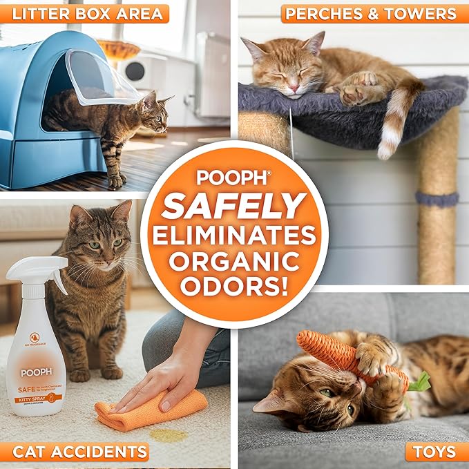 POOPH® LITTERIZER™ + Kitty Spray Bundle – Fragrance-Free Odor Eliminator for Litter & Cat Areas, Absorbs Moisture, Non-Toxic, No Harsh Chemicals, Patented Technology for Everyday Use-Mewly Pet