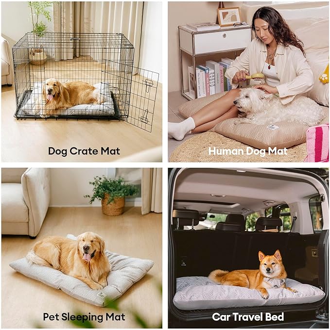 FUNNY FUZZY Washable Dog Bed,Reversible Plush Dog Crate Mat, Soft Fluffy Kennel Pad,Pet Sleeping Mattress for Jumbo,X-Large Sized Dogs Breeds,2XL,48"× 31",Midnight Blue-Mewly Pet