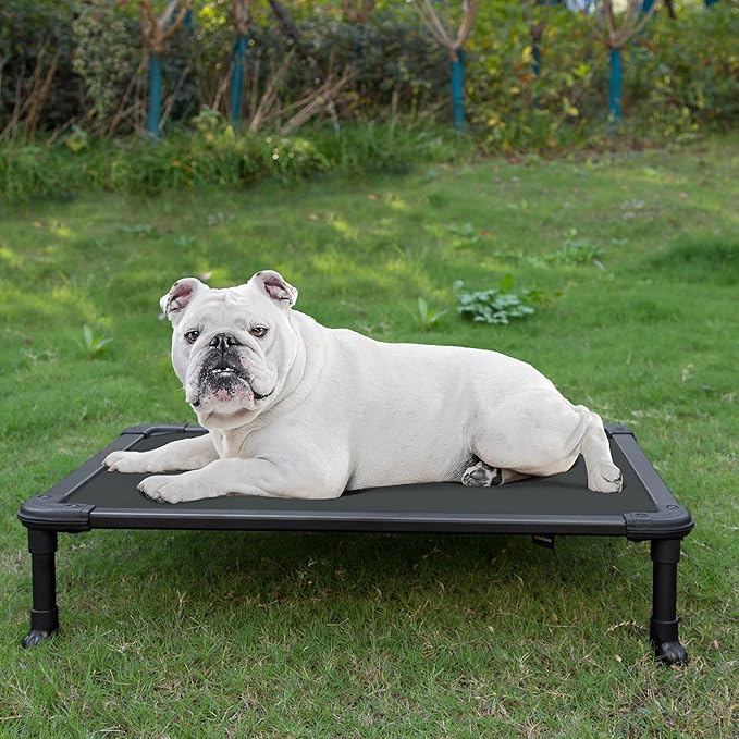 Veehoo Chew Proof Elevated Dog Bed - Cooling Raised Pet Cot - Rustless Aluminum Frame and Durable Textilene Mesh, Unique Designed No-Slip Feet for Indoor or Outdoor Use, Black, Medium, CWC2002-Mewly Pet