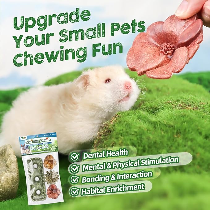 TEEWY 4PCS Guinea Pig Chew Toys, Prevent Teeth Overgrowth, Natural Vegetables and Timothy Grass, Hamster Chew Toys, Guinea Pig Toys, Chinchilla Toys, Grass Patch & Flowers-Mewly Pet
