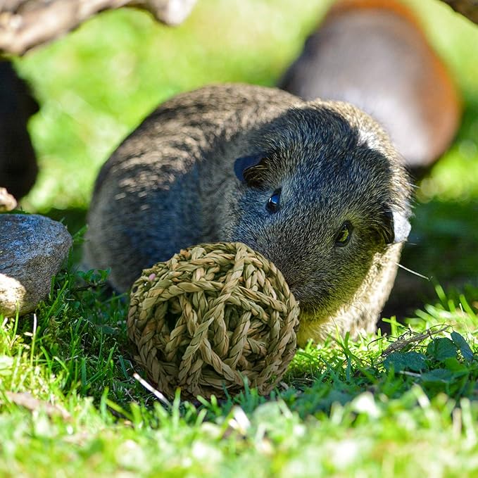 10 Pcs Small Animals Play Balls Rolling Activity Chew Toys Gnawing Treats for Rabbits Guinea Pigs Chinchilla Bunny Natural Balls, Pet Cage Entertainment Accessories(10Pcs)-Mewly Pet