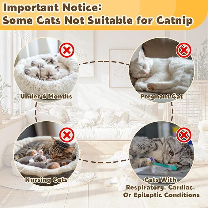 80PCS Catnip - Cat Nip for Cats Natural Dried Catnip Treats Premium Cat Nip Perfect for Toys, Training Rewards, Stress Relief, Freshly Harvested Bag Bulk Pack,2.8OZ-Mewly Pet