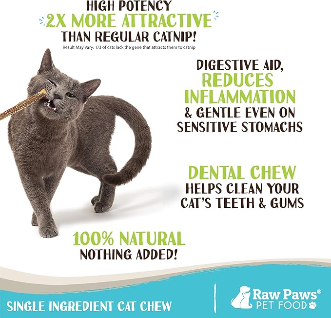 Raw Paws Silvervine Sticks for Cats (30 Pack) - Silvervine Cat Toy for Indoor Cats - Catnip Sticks - Silver Vine Cat Chew Stick-Mewly Pet