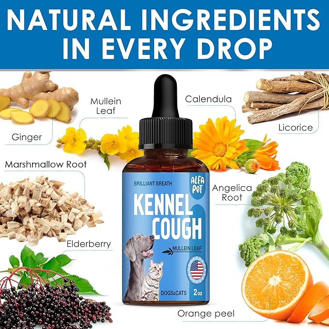 Dog Cough Treatment Liquid • Kennel Cough for Dogs & Cats • for Breathing During All Life Cycle • Marshmallow Root + Mullein Leaf in The Composition • Natural Supplement for All Breeds • 2 Oz-Mewly Pet