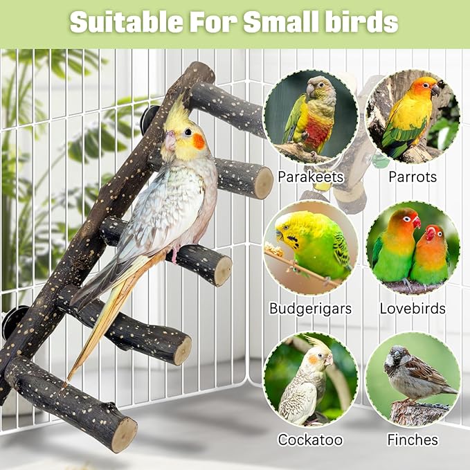 BNOSDM Natural Wood Bird Ladder Perch with Rotating Bell Toys-Exercise Stands for Parrot Climbing Chewing Parakeet Bridge Cage Accessories for Cockatiel, Conures, Lovebirds, Budgie-Mewly Pet