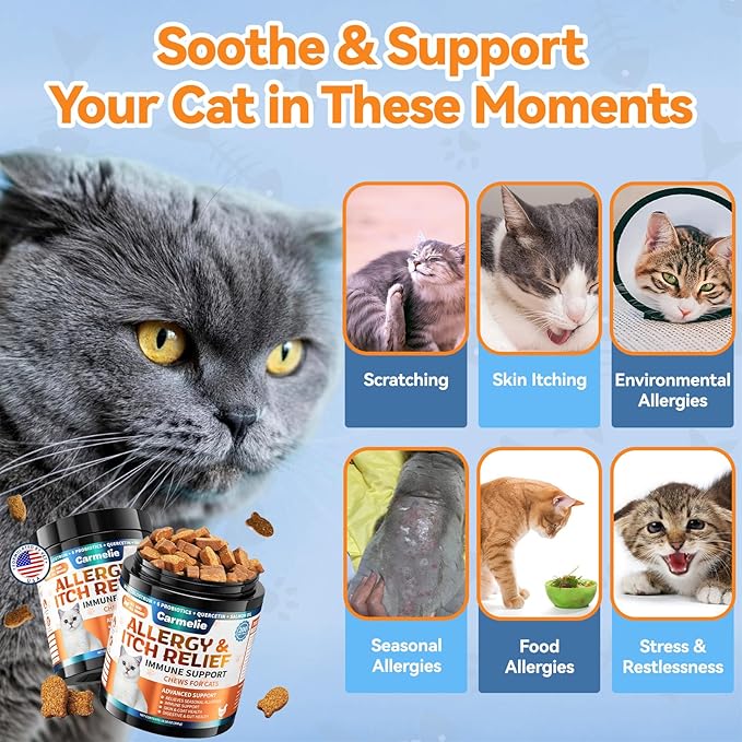 Cat Allergy Relief Chews 200 pcs - Cat Itchy Skin & Paw Licking Relief - Omega 3 & Probiotic for Cats - Anti-Itch Relief for Skin & Coat Health, Immune Support, Seasonal Allergies - Chicken Flavor-Mewly Pet