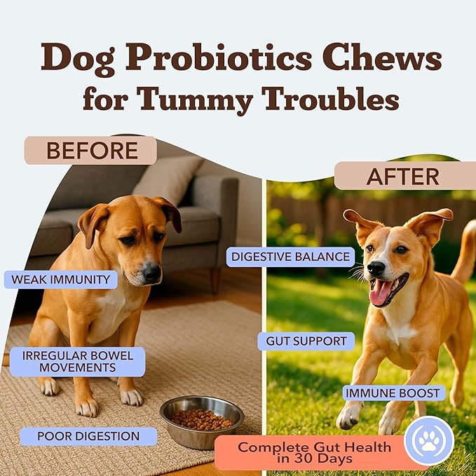 Natural Dog Company Gut Health & Probiotic Chews for Dogs (45 Ct), Prebiotics, Digestive Enzymes & Canine Specific Probiotics for Digestion, Gas, Loose Stool & Immune System Support, 1 Chew Daily-Mewly Pet