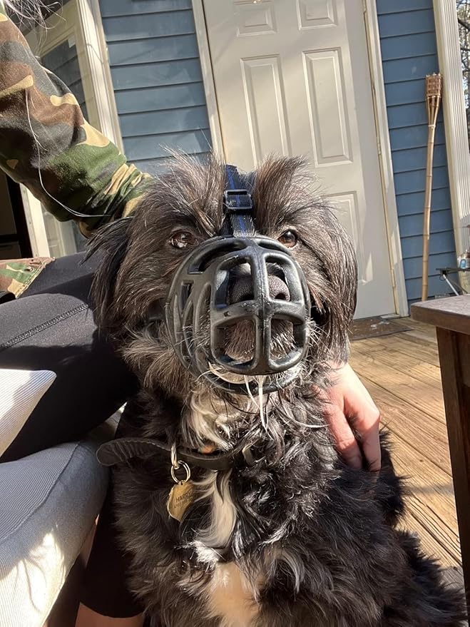 Mayerzon Dog Muzzle, Breathable Basket Muzzles for Small, Medium, Large and X-Large Aggressive Dogs Beagle German Shepherd Doberman, Cage Mouth Guard Stop Biting Chewing for Grooming Training-Mewly Pet