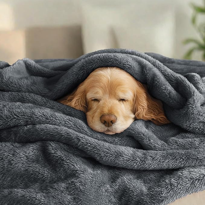 Exclusivo Mezcla Plush Fuzzy Fleece Bed Blanket Queen Size, Super Soft, Fluffy and Warm Blankets Suitable for All Seasons (Dark Grey, 90x90 Inches)