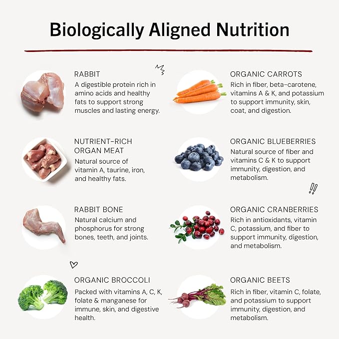 Stella & Chewy's Freeze-Dried Raw Dinner Patties - Absolutely Rabbit Recipe - High Protein Grain-Free Puppy & Dog Food - Perfect For Picky Eaters - 14 oz-Mewly Pet