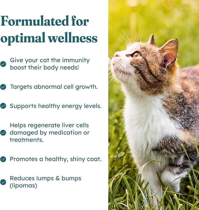 Immune Plus Chews for Cats - Vet-Reviewed - Boosts Immunity & Liver Health with Turkey Tail, Reishi & Milk Thistle | Promotes Shiny Coat & Reduces Lumps | 60 Chicken-Flavored Soft Chews-Mewly Pet