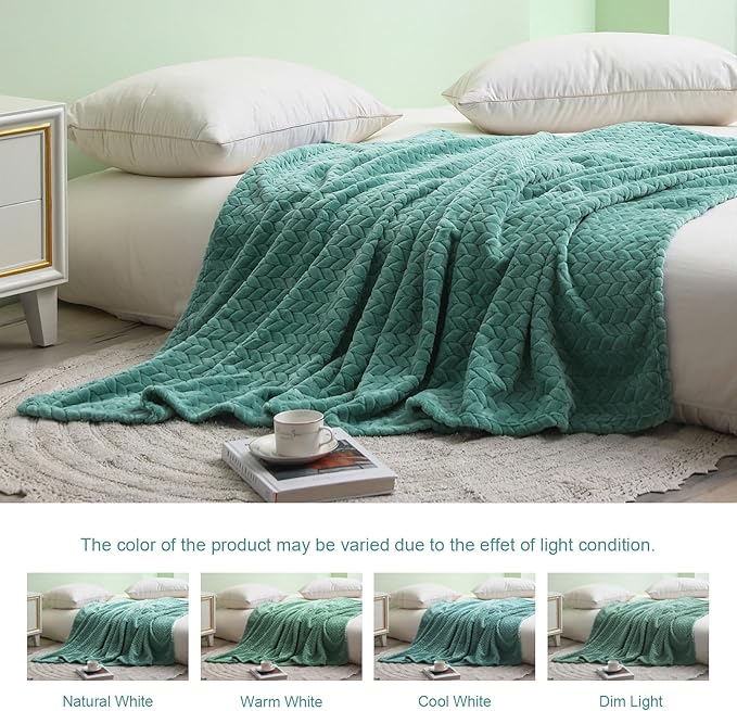 Exclusivo Mezcla Fleece Queen Size Blanket for Bed, 90x90 Inches Soft Cozy Jacquard Flannel Blankets, Lightweight Fuzzy Plush Warm for Winter, Celadon