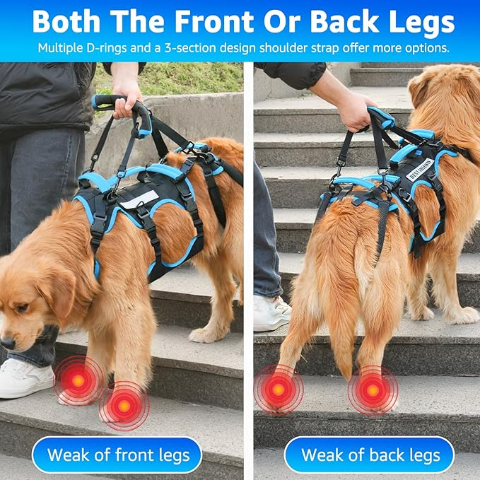 Dog Lift Harness for Large Male Dogs, 2-in-1, Back Leg Support & Mobility Assistance for Senior Dogs, Post-Surgery Recovery Sling(Black, Large)-Mewly Pet