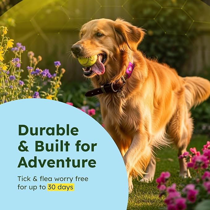 BugMD Paw Guardian Flea & Tick Pendant (2-Pack) with AirTag Holder – Plant-Based Flea & Tick Prevention for Dogs – Pet Collar Tag & GPS Tracker Holder for Dogs – Pink-Mewly Pet