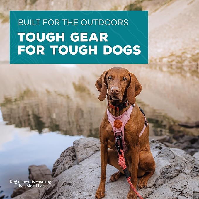 Wilderdog Lightweight Dog Harness with Reflective Straps - Medium - Lilac-Mewly Pet