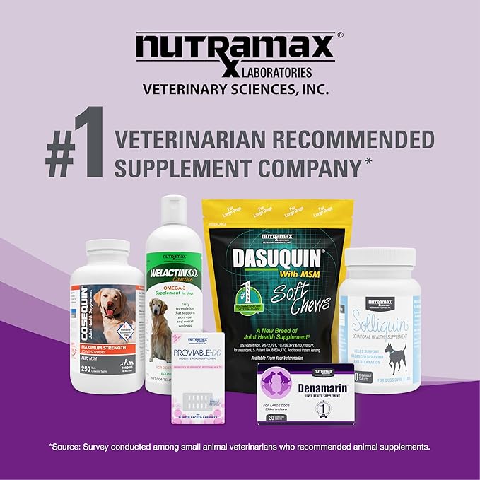 Nutramax Dasuquin Joint Health Supplement for Cats - With Glucosamine, Chondroitin, ASU, Boswellia Serrata Extract, Green Tea Extract, and Omega-3, 84 Soft Chews-Mewly Pet