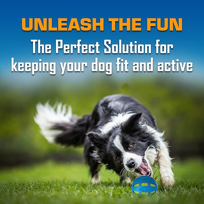 Nerf Dog Toy Gift Set, 3-Piece Set of Outdoor Dog Toys for Fetch, Includes Checker Crunch Ball, Spike LED Squeak Ball and Tire Squeak Football-Mewly Pet