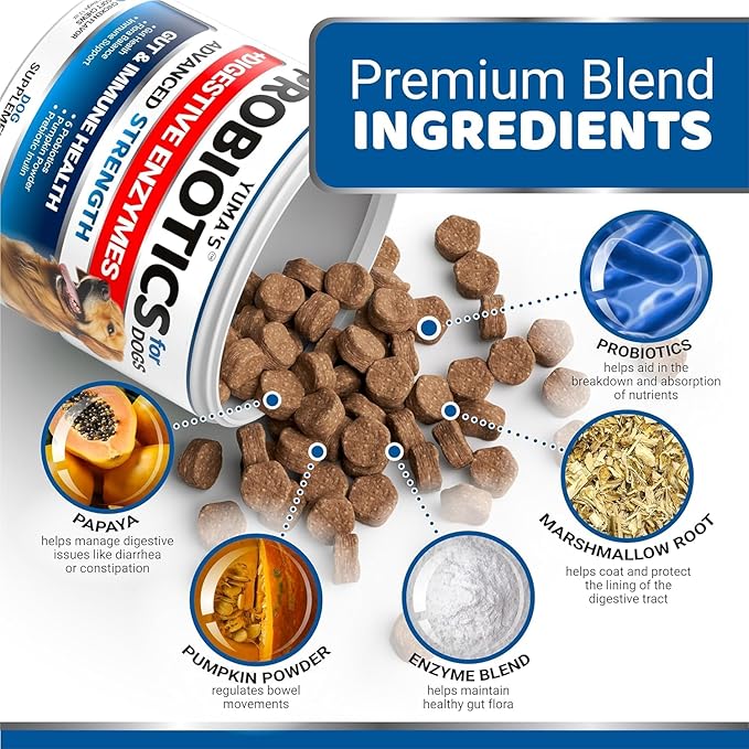 YUMA'S 2 Pack Probiotics for Dogs and Digestive Enzymes - Dog Probiotics Chews - Dog Probiotic - Anti Diarrhea, Upset Stomach & Gas Relief, Constipation, Canine Prebiotic - Pet Fiber Supplement-Mewly Pet