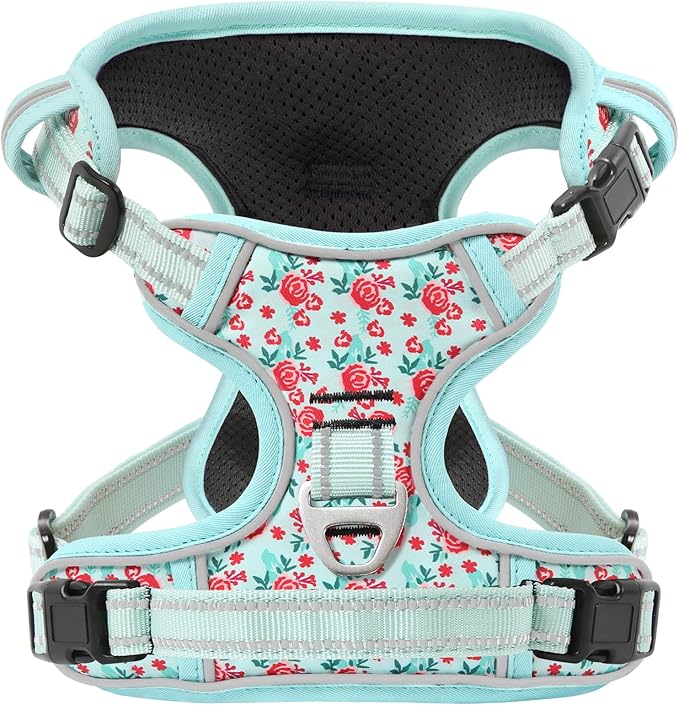 Timos Dog Harness, 3 Snap Buckles No-Pull Soft Padded Dog Vest with 2 Metal Leash Clips,Adjustable Reflective No Choke Pet Harness with Easy Control Handle for Small Dogs,Cyan,S-Mewly Pet
