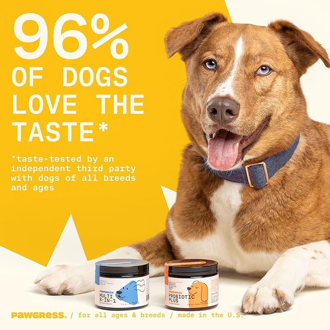 5-in-1 Dog Probiotic Powder – 100% Natural Gut Health Support with Prebiotics, Postbiotics & Enzymes – Crafted by Dog Nutritionist Kayla Kowalski, Made in USA – 30 Scoops-Mewly Pet