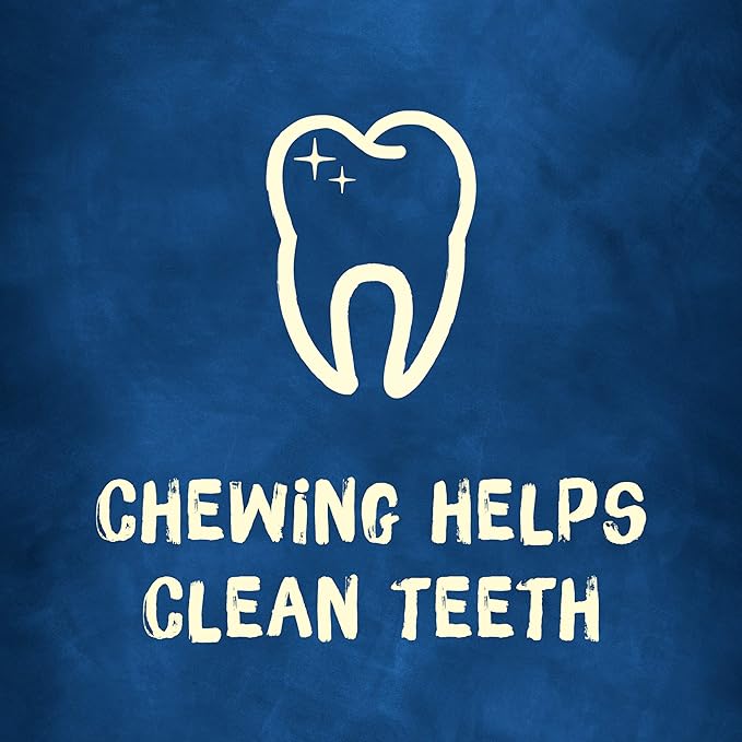 Purina Busy Bone Made in USA Facilities, Long Lasting Small/Medium Breed Adult Dog Chews, Peanut Butter Flavor - 10 ct. Pouch (Pack of 2)-Mewly Pet