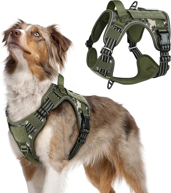 rabbitgoo Tactical Dog Harness Medium Sized Dog, No Pull Military Service Vest with Handle & Molle, Easy Control for Training Walking, Adjustable Reflective Straps, Green camo, M-Mewly Pet