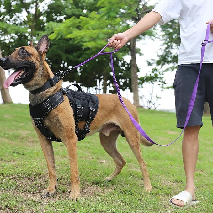 ICEFANG Tactical Dog Leash,K9 Training Walking Bungee Lead with 2 Control Handle,Heavy Duty Quick Release Metal Clasp,for Medium Large Breed (Reflective Purple, 6 FT)-Mewly Pet
