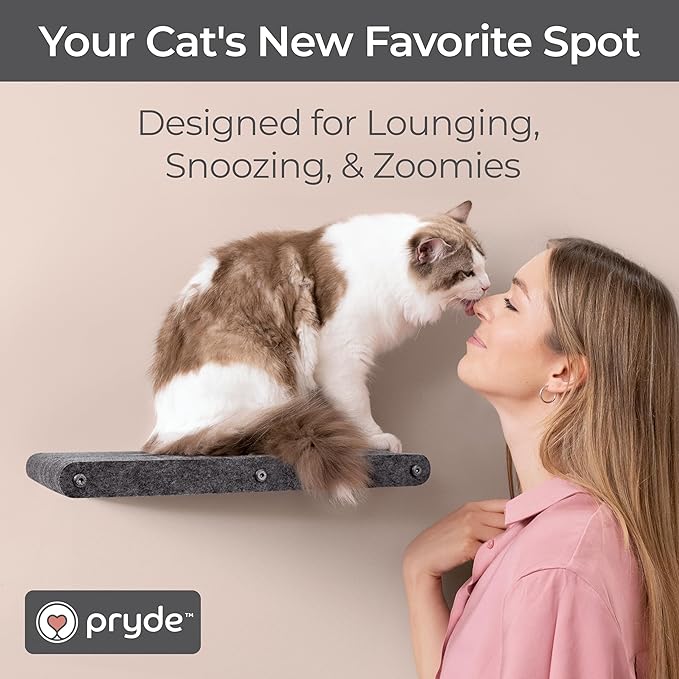 Wall Mounted Cat Perch Long Shelf by Pryde Pets - Floating Hammock Bed, 100% Sustainable PET Felt Feline Enrichment Climber Furniture for Indoor Cats, Modern Climbing Gym Jungle Design (Charcoal)-Mewly Pet