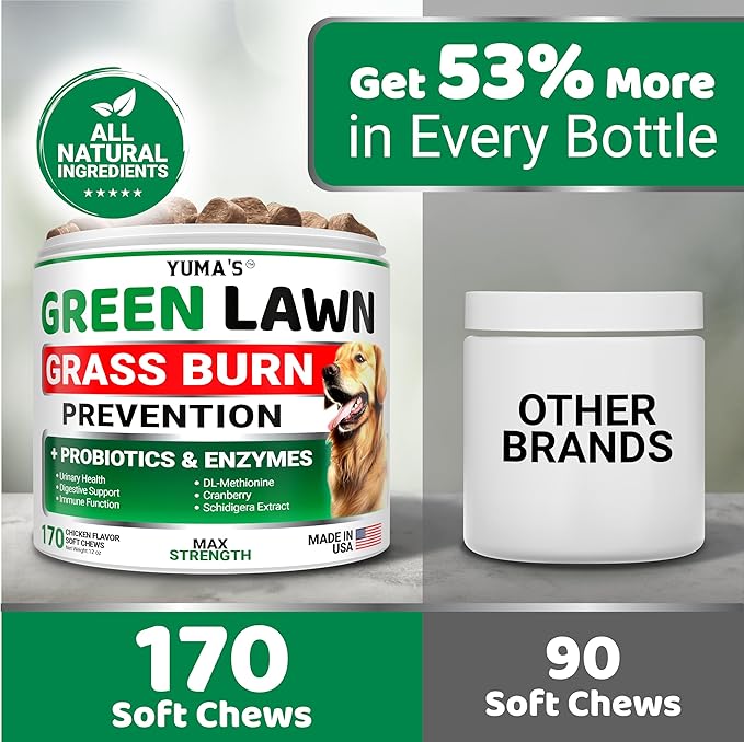 YUMA'S Dog Urine Neutralizer for Lawn - 170 Chews - Advanced Grass Green Savers for Dog Urine - Canine Pee Grass Neutralizer Supplement - Green Lawn Treats with Probiotics and Digestive Enzymes-Mewly Pet