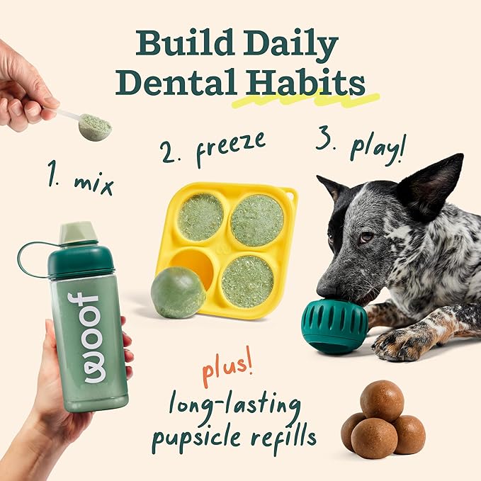 WOOF Dental Kit- Includes Pupsicle Dog Toy, Treat Tray, Shaker Bottle, Chicken Pupsicle Pops, and Dog Teeth Cleaning Powder - Supports Oral Health for Dogs - Small-Mewly Pet