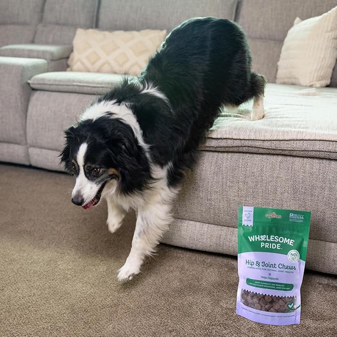 Wholesome Pride Hip & Joint Supplement for Dogs – 90 Soft Chews – Glucosamine, Chondroitin, MSM & Turmeric – Mobility Support & Arthritis Relief for Growing, Adult & Senior Dogs-Mewly Pet
