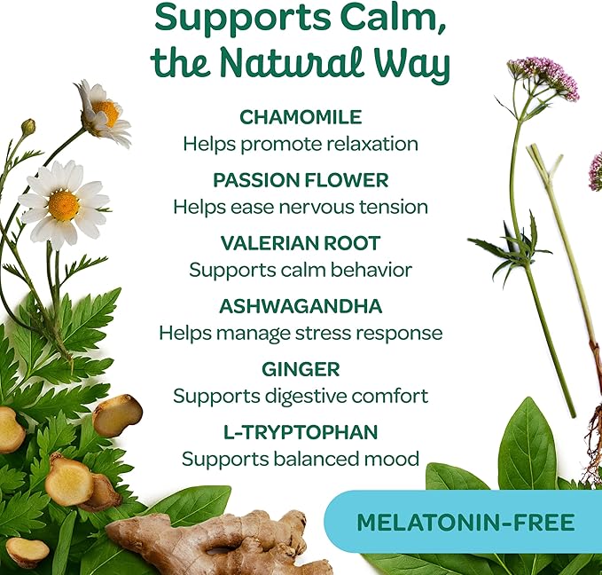 Wholesome Pride Calming Supplement for Dogs - 90 Soft Chews - Natural Anxiety Relief, Separation & Noise Stress Support with Herbal Ingredients, No Melatonin, Non-Drowsy-Mewly Pet