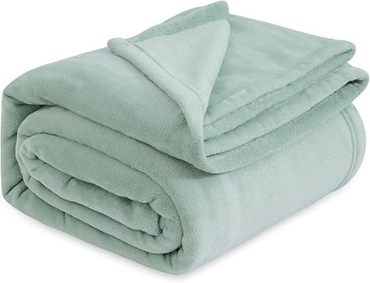 Bedsure GentleSoft Sage Green Fleece Blankets Queen Size - 280GSM Soft Lightweight Plush Cozy Blanket for Bed, Sofa, Couch, Travel, Camping