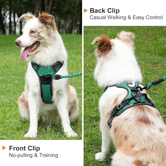 Taglory Light Up Dog Harness, Rechargeable No Pull Dog Vest with 3 Lightning Modes, Reflective Dog Harness with 2 Leash Clips & 4 Adjustable Slide Strips for Large Dogs, Turquoise-Green, XL-Mewly Pet