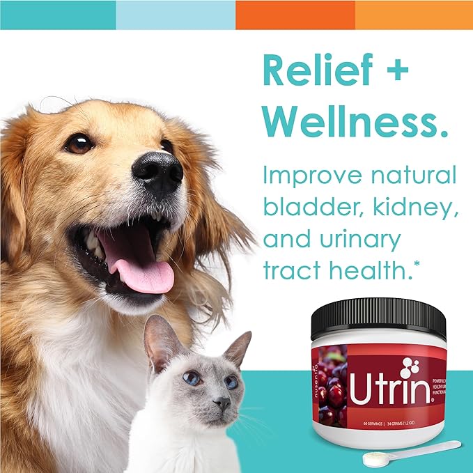 UTRIN - Urinary Support for Cats & Dogs - Dual-Action Cranberry & D-Mannose - for Natural Bladder Health, Incontinence, and Recurring UTI, 60 Servings-Mewly Pet